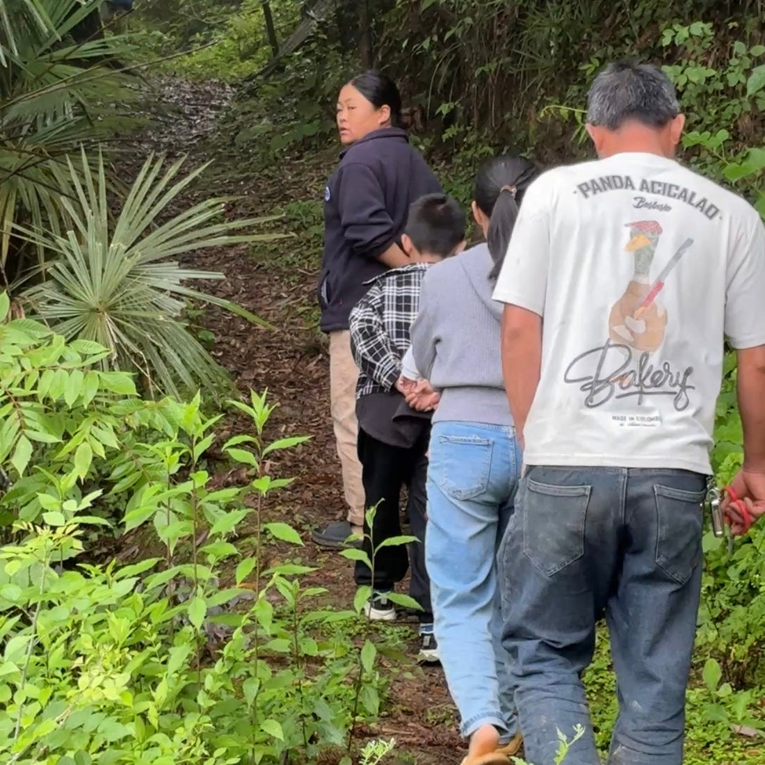 Volunteer Fund Allocation — Public Update 2025/8/4