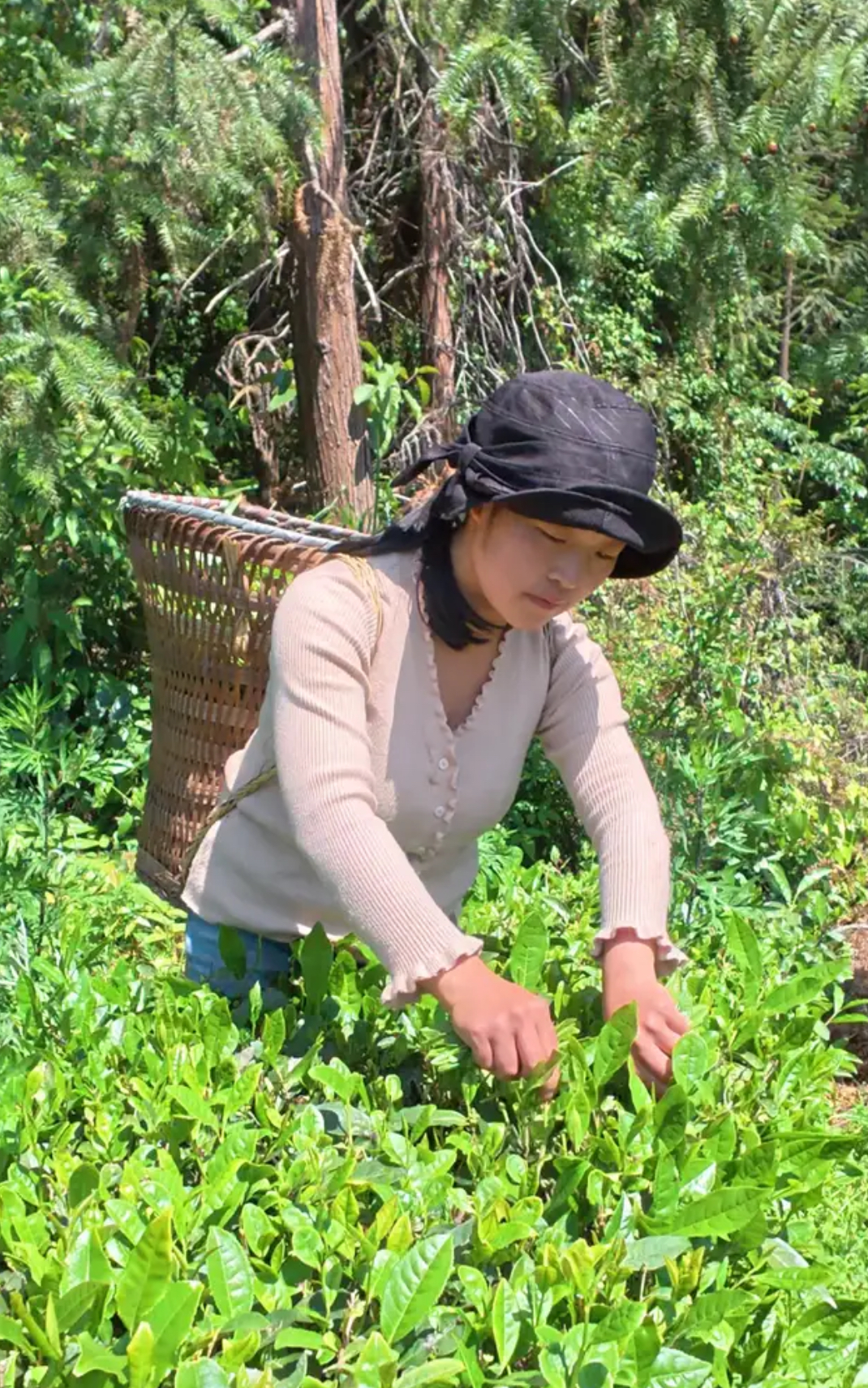 Enshi Wildbrook Village Portrait 1 | Woodsmoke, Mules, and the Quiet Power of Feng
