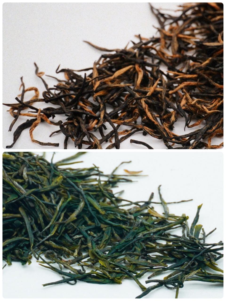 Dry leaves of Lichuan Black Tea & Enshi Jade Dew