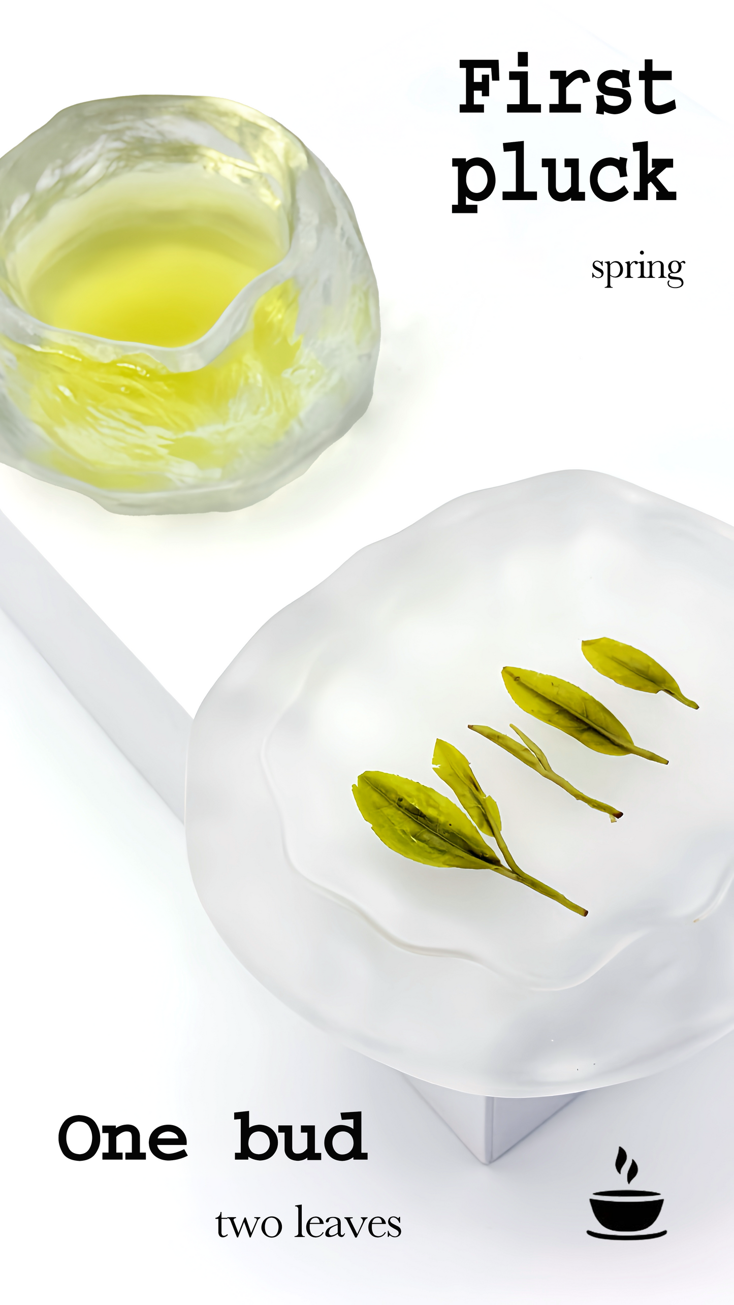 Enshi Yulu (Jade Dew) Green Tea