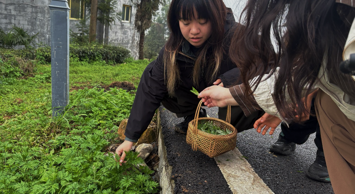 Gathering vegetables together
