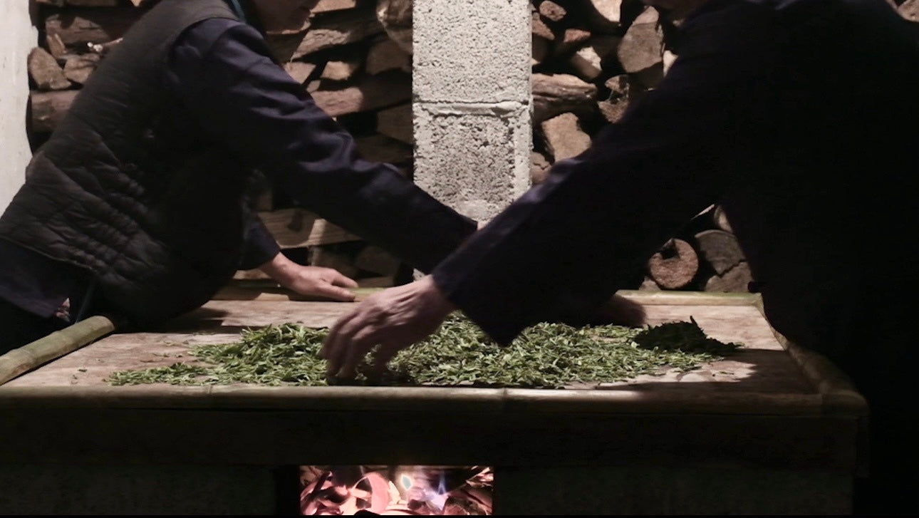 FlowInverse Tea Tasting Program