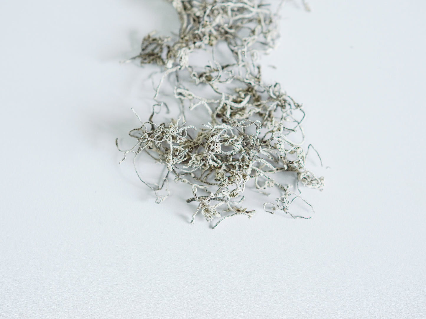 vine dry leaves.jpg__PID:5e8fd3da-8374-440c-bceb-cf961b05214a