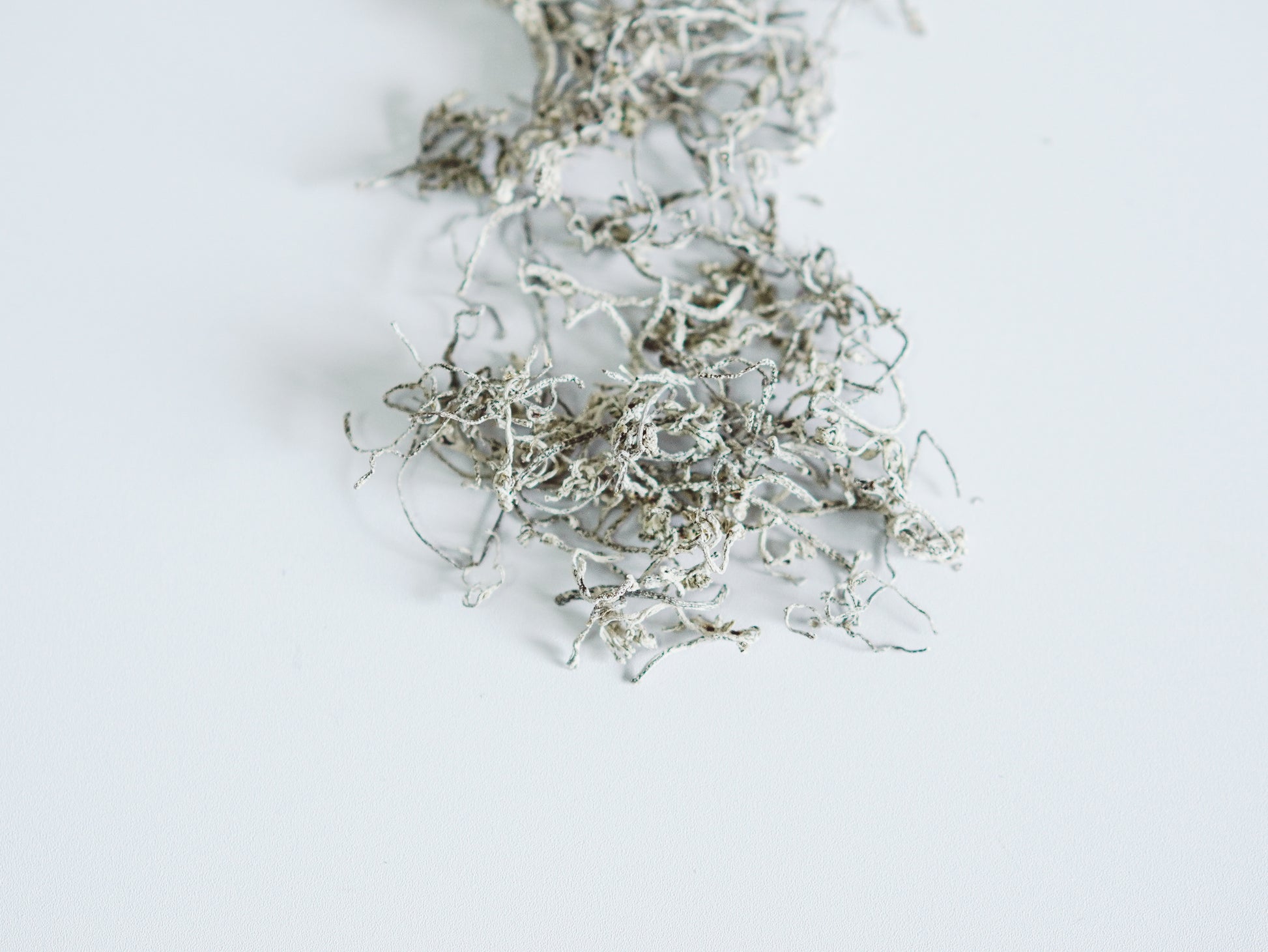 vine dry leaves.jpg__PID:5e8fd3da-8374-440c-bceb-cf961b05214a