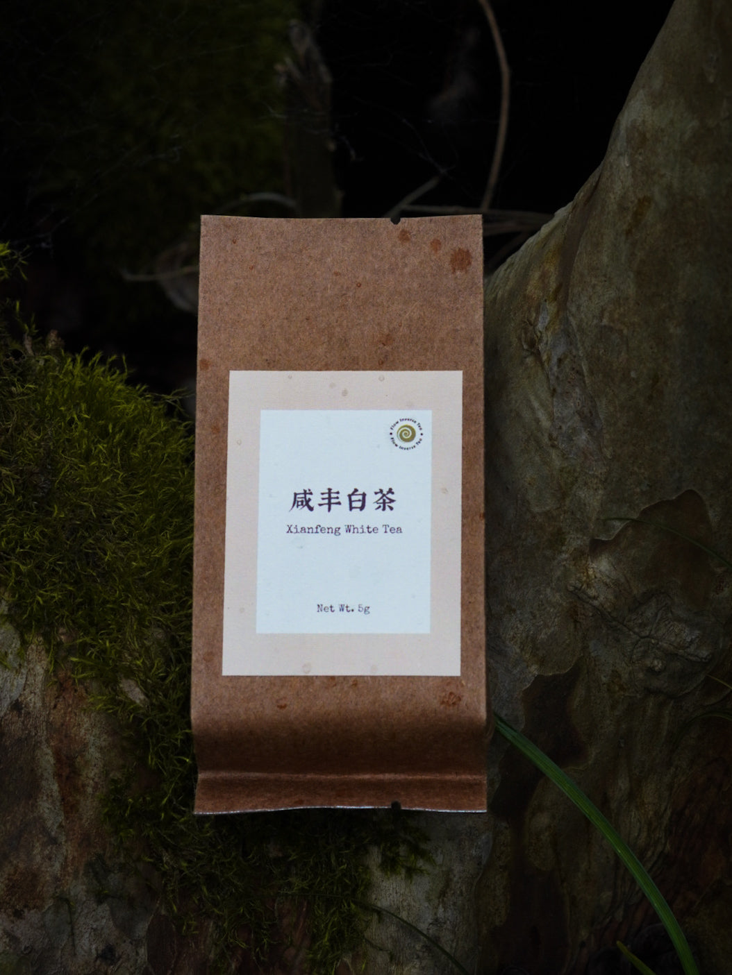 white tea.jpg__PID:ad1739d7-c0b5-4e8d-8bcc-6993b735e968