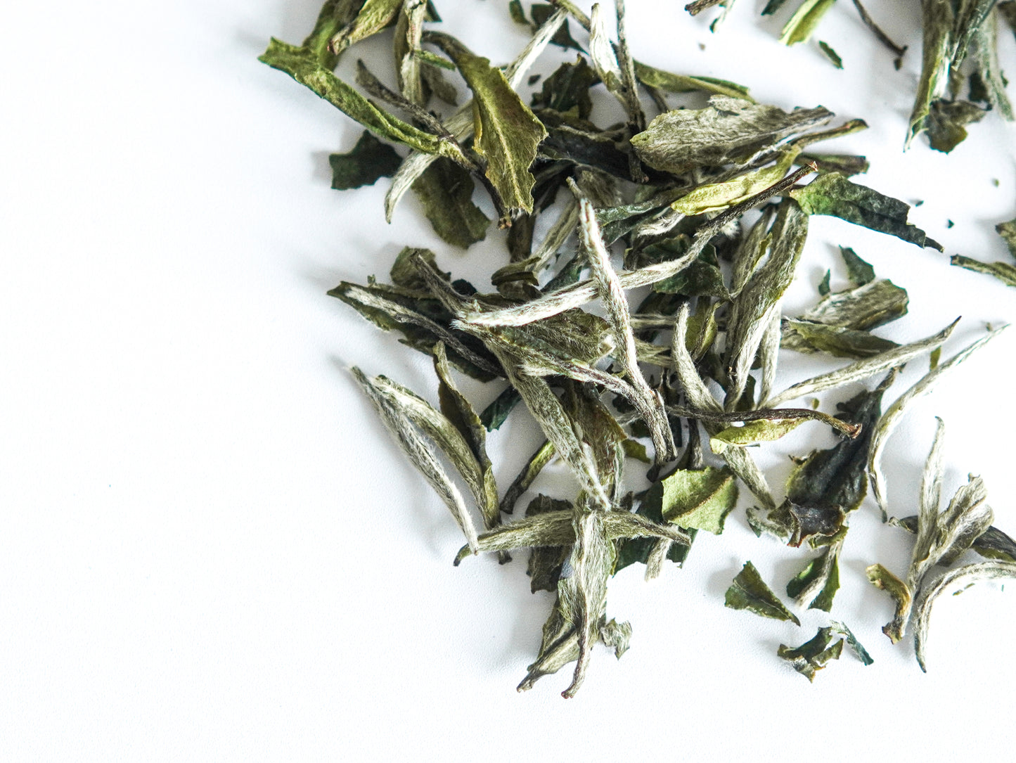 white tea leaves.jpg__PID:554dad17-39d7-40b5-ae8d-0bcc6993b735
