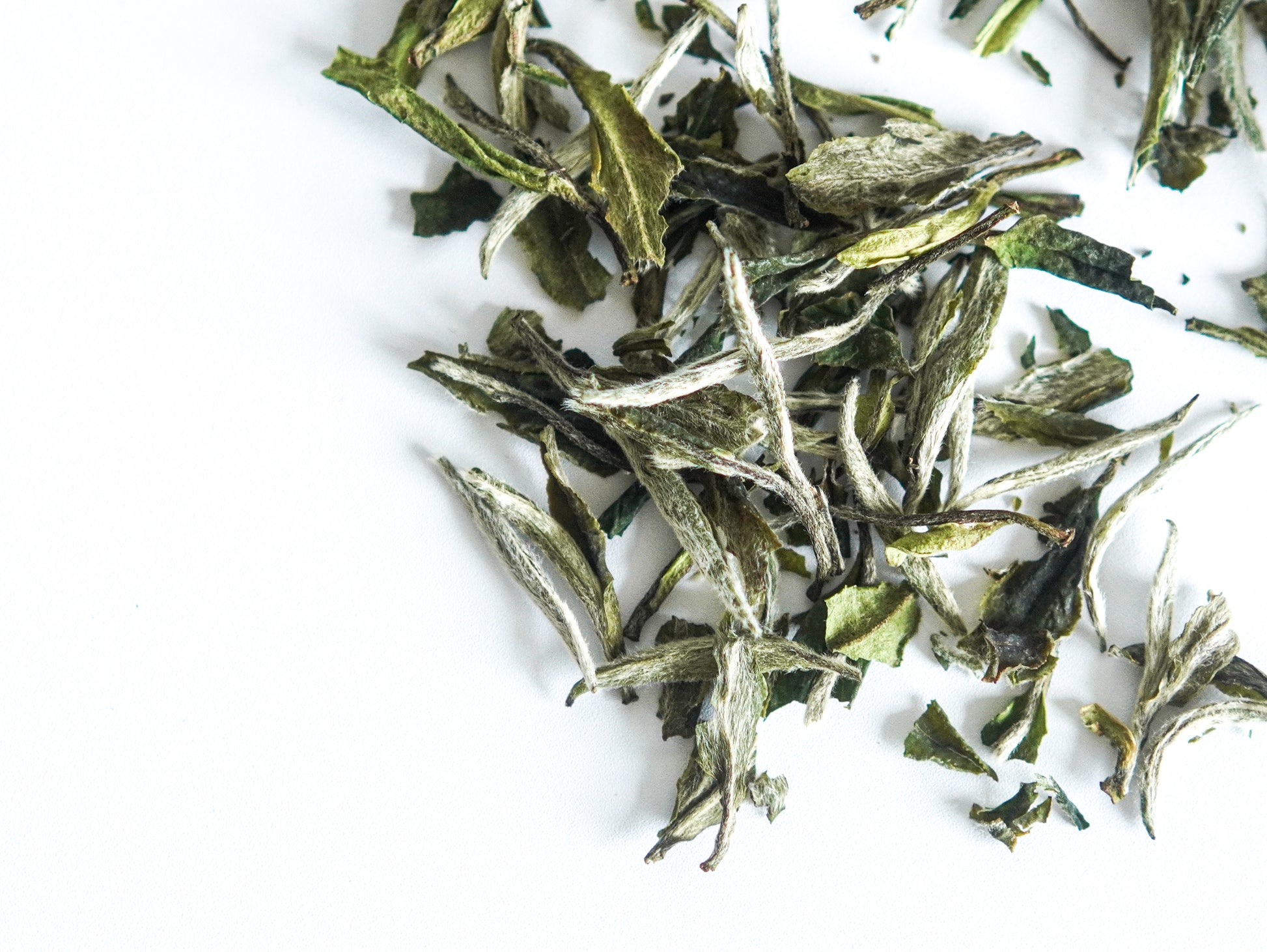 white tea leaves.jpg__PID:554dad17-39d7-40b5-ae8d-0bcc6993b735