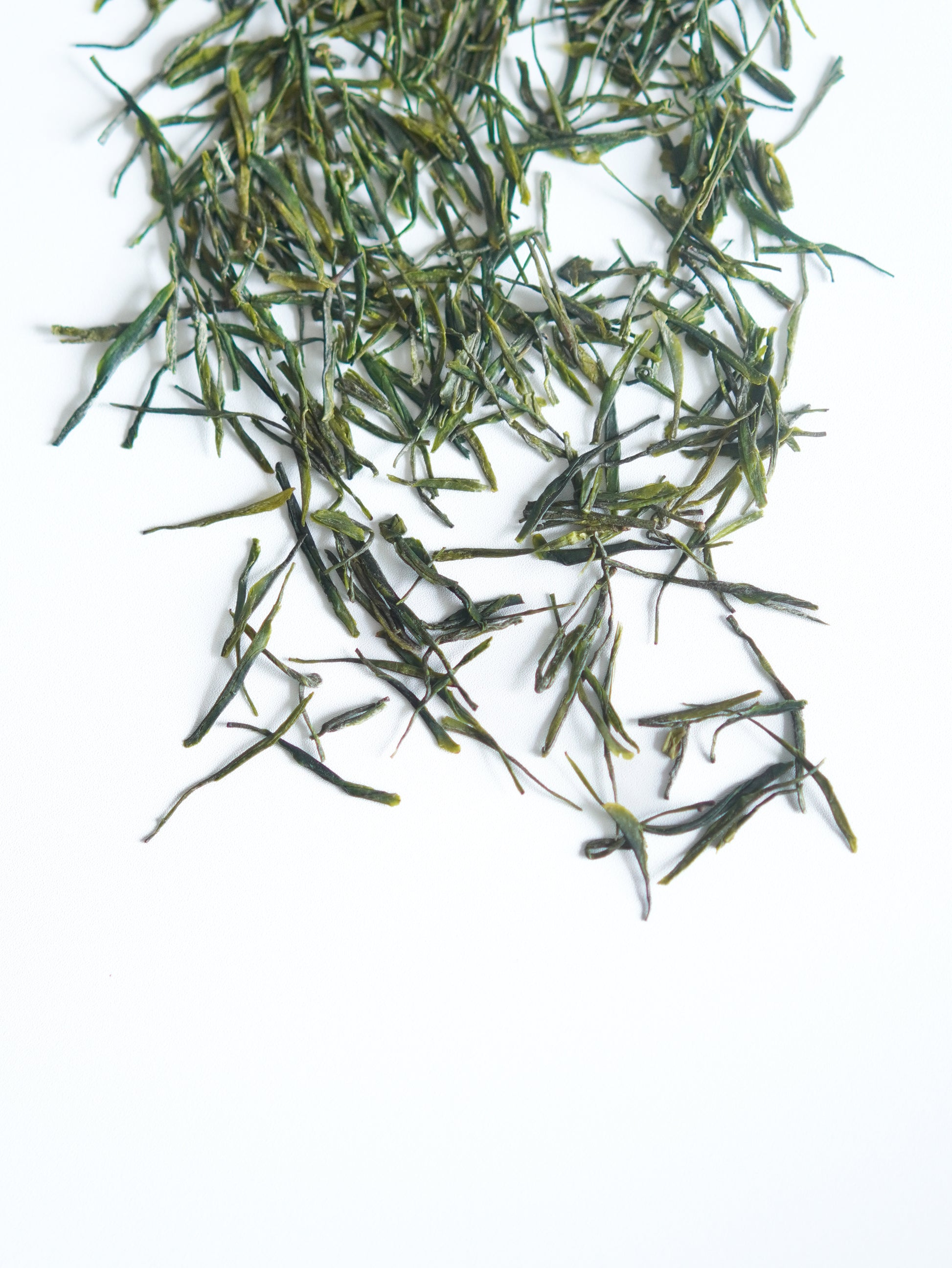 yugu dry leaves.jpg__PID:509a9cd6-5ff4-4e93-990a-7808eb6c4dfc