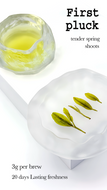 Enshi Yulu (Jade Dew) Green Tea