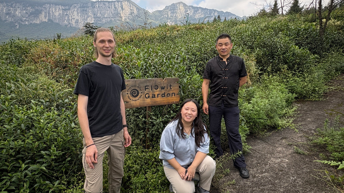 The Village Volunteer Logbook — German Volunteer, October 2025