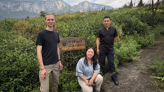 The Village Volunteer Logbook — German Volunteer, October 2025