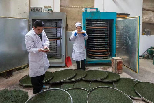 Why We Built a Cooperative Instead of Just Buying From Farmers