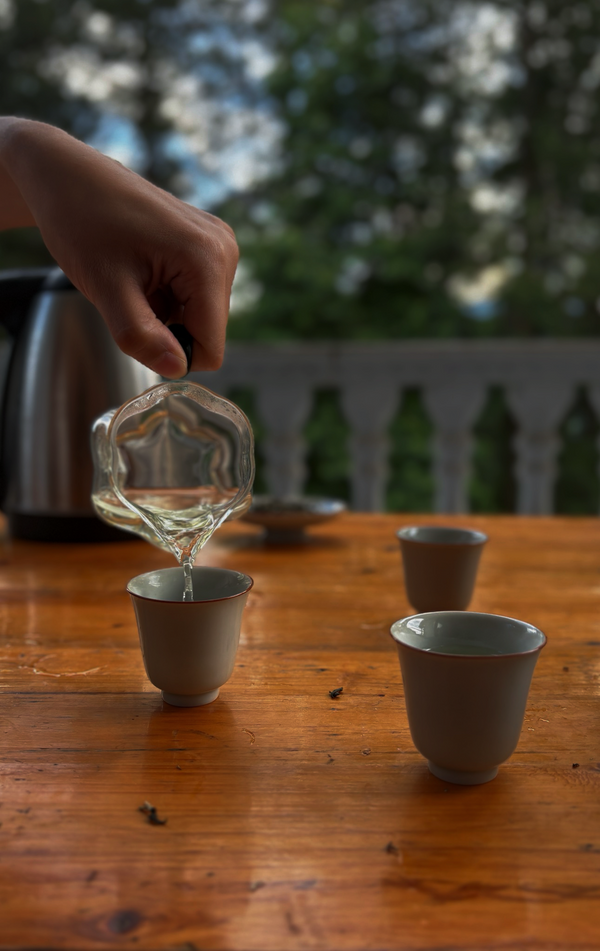 Pouring fresh Enshi Yulu on the porch