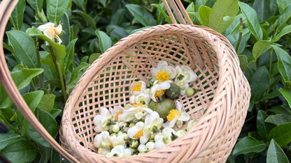 Winter Tea Flowers