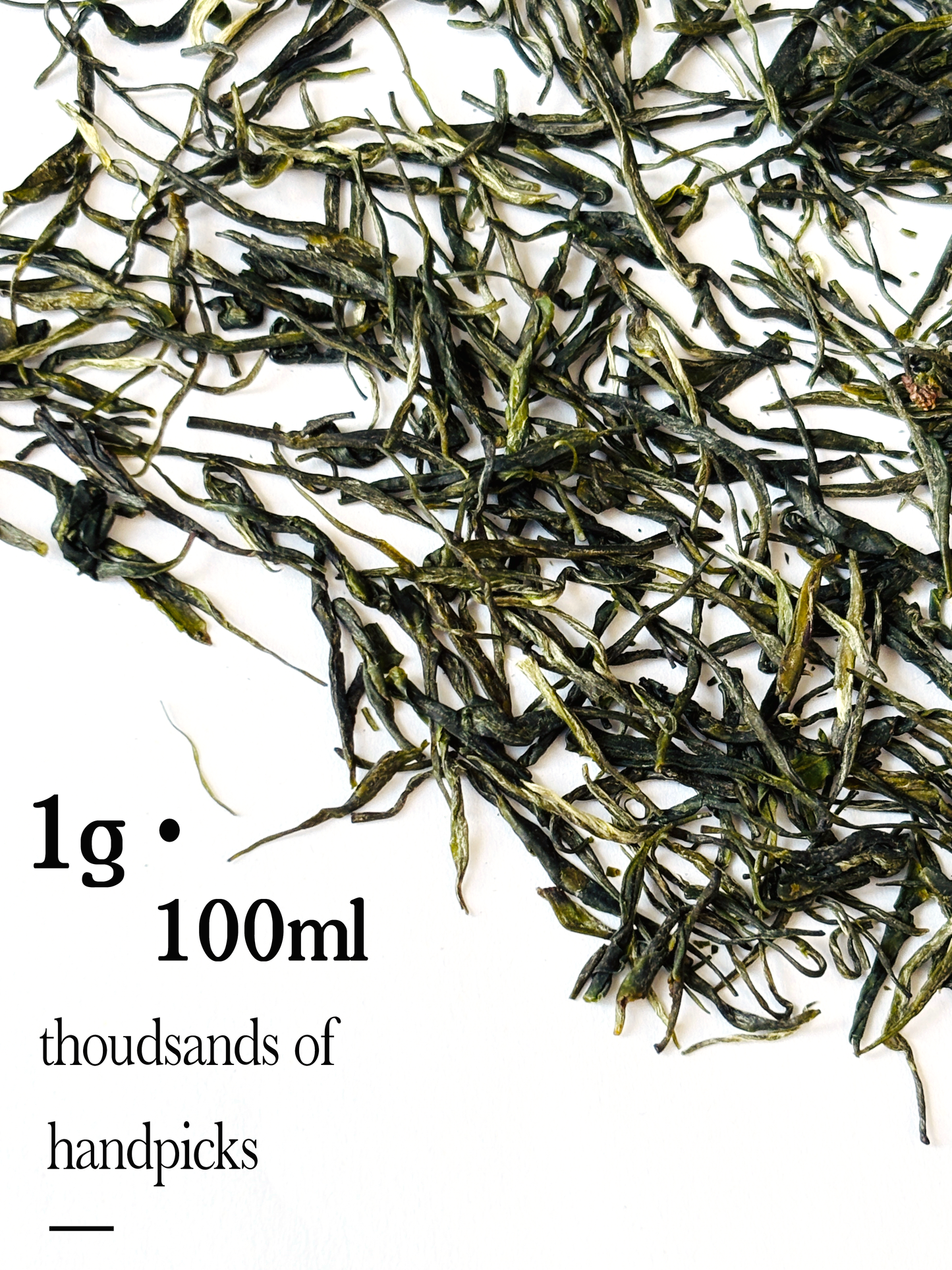 Salon Chestnut Green Tea