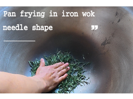 Salon Chestnut Green Tea