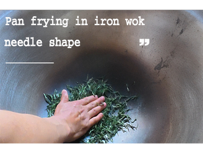 Salon Chestnut Green Tea