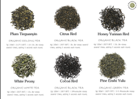6 Organic Special Tea Sampler Gift Box