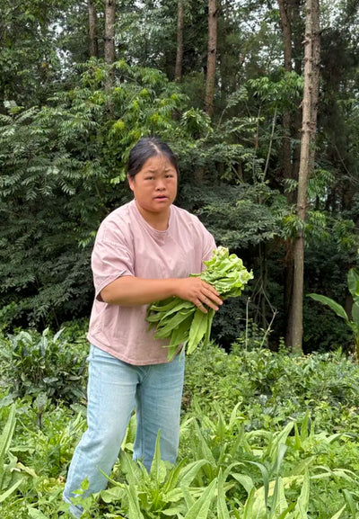 Villager holding a bundle of green vegetables in forest in their village