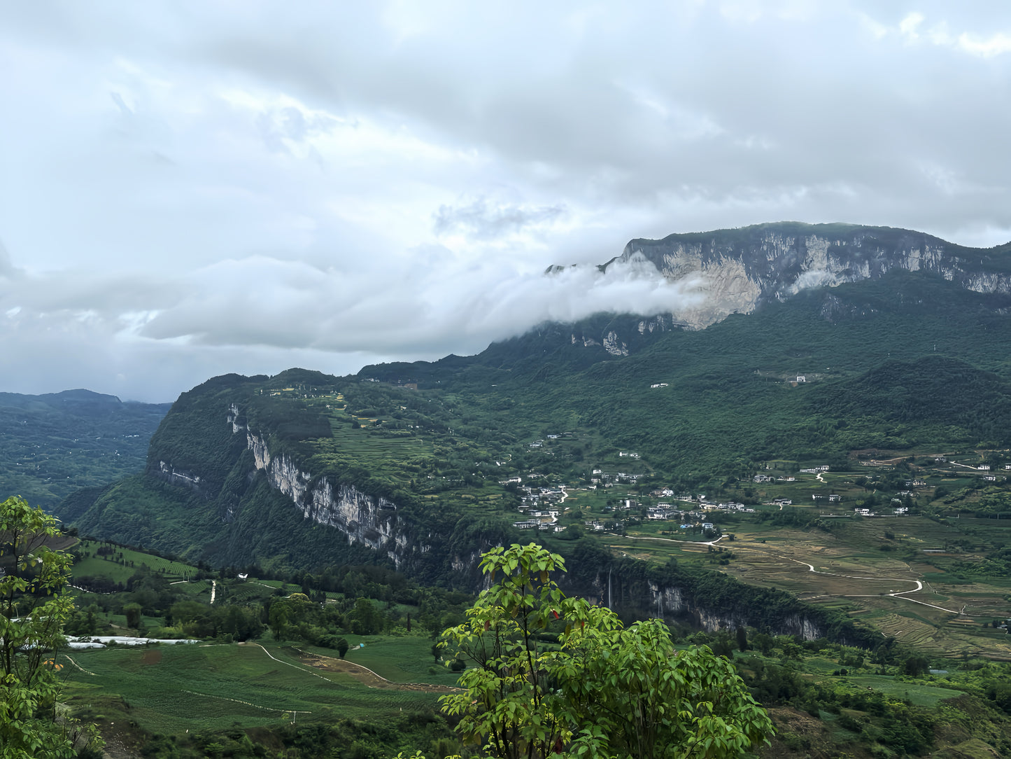 Harvest Collective — A Shared Future in Tea & Textile