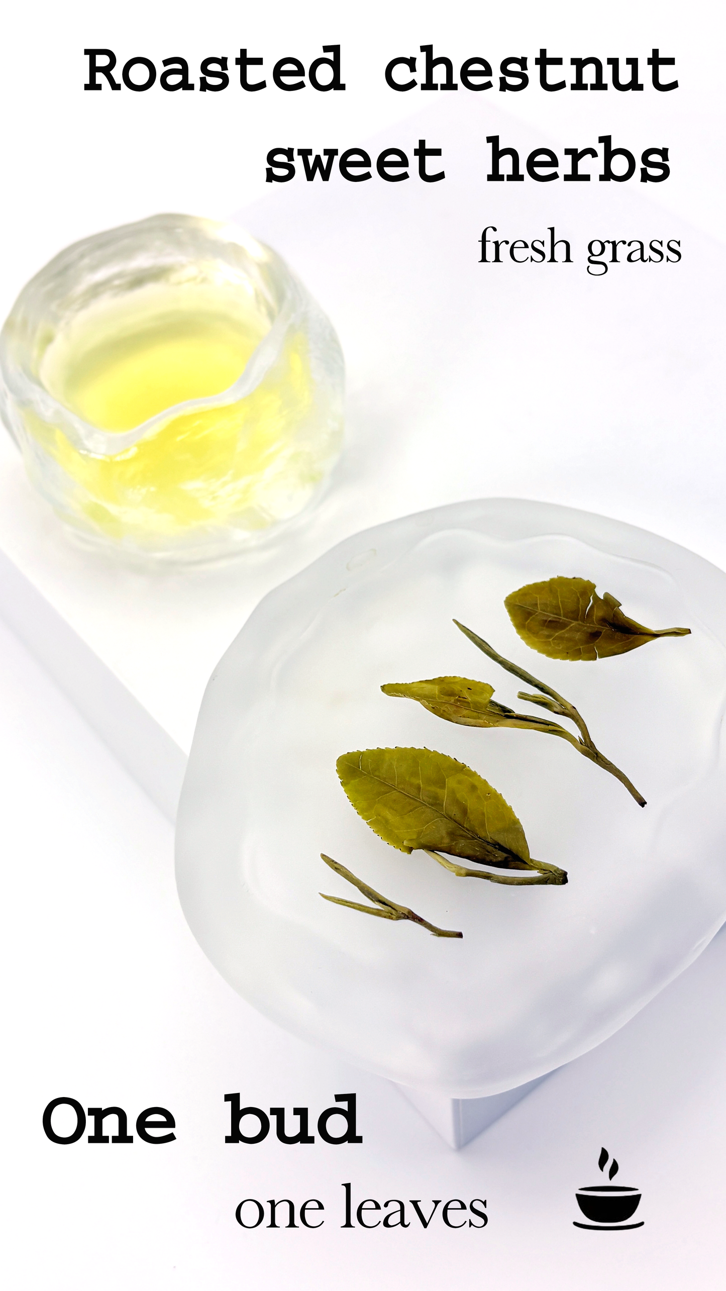 Salon Chestnut Green Tea