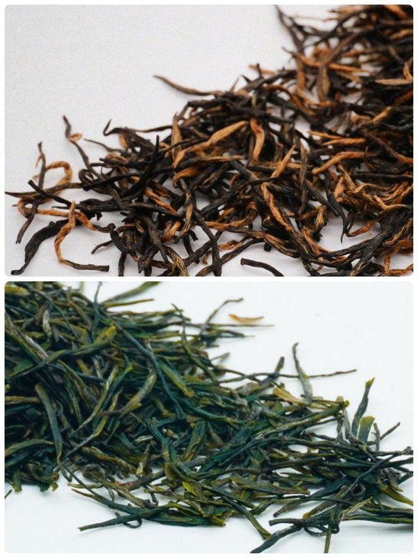 Spring Duo Combo (Green Tea + Black Tea Team sample)