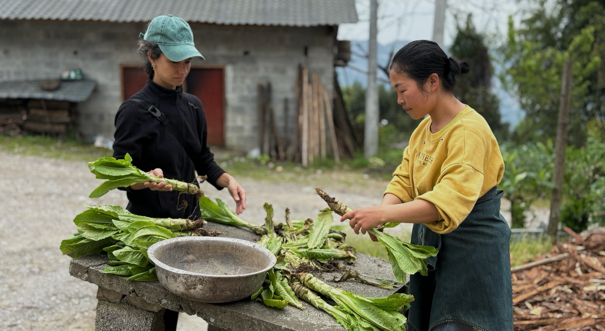 Preparing mountain vegetables with the family