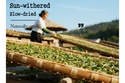 2025 Baimudan White Tea(White Peony)