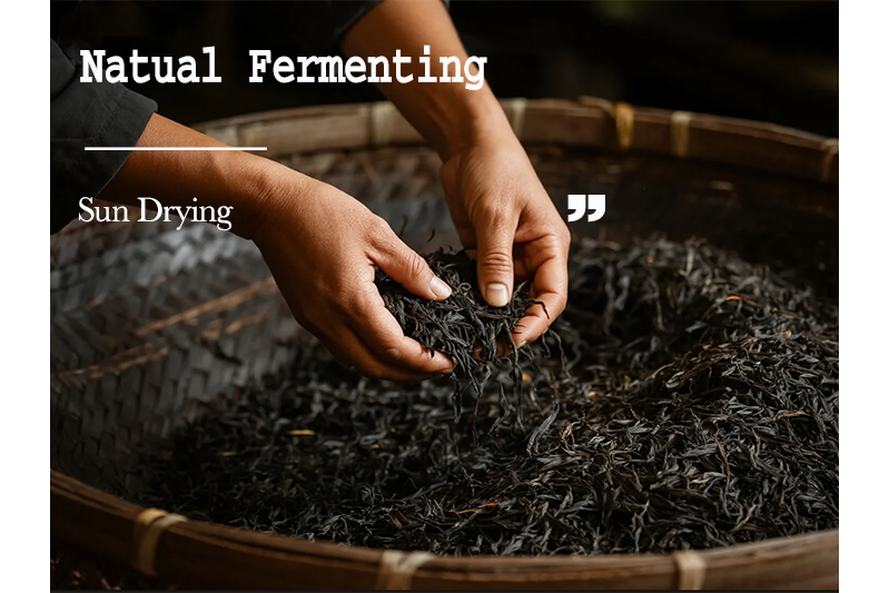 Lichuan Black(Red) Tea