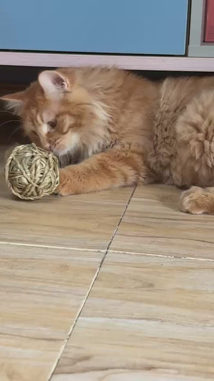 Cat playing with a handwoven natural fiber chew ball