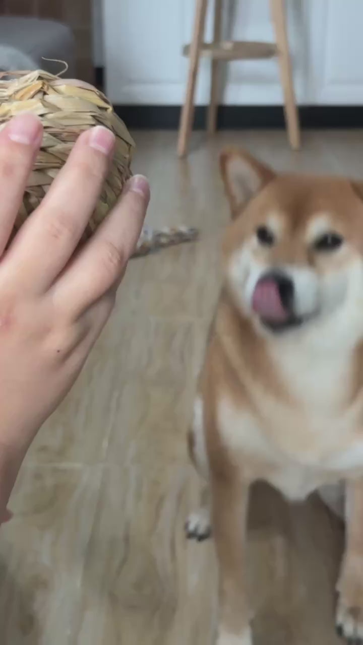 Dog playing with a handwoven natural fiber chew ball