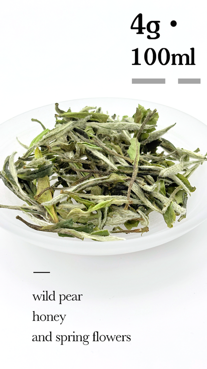 2025 Baimudan White Tea(White Peony)