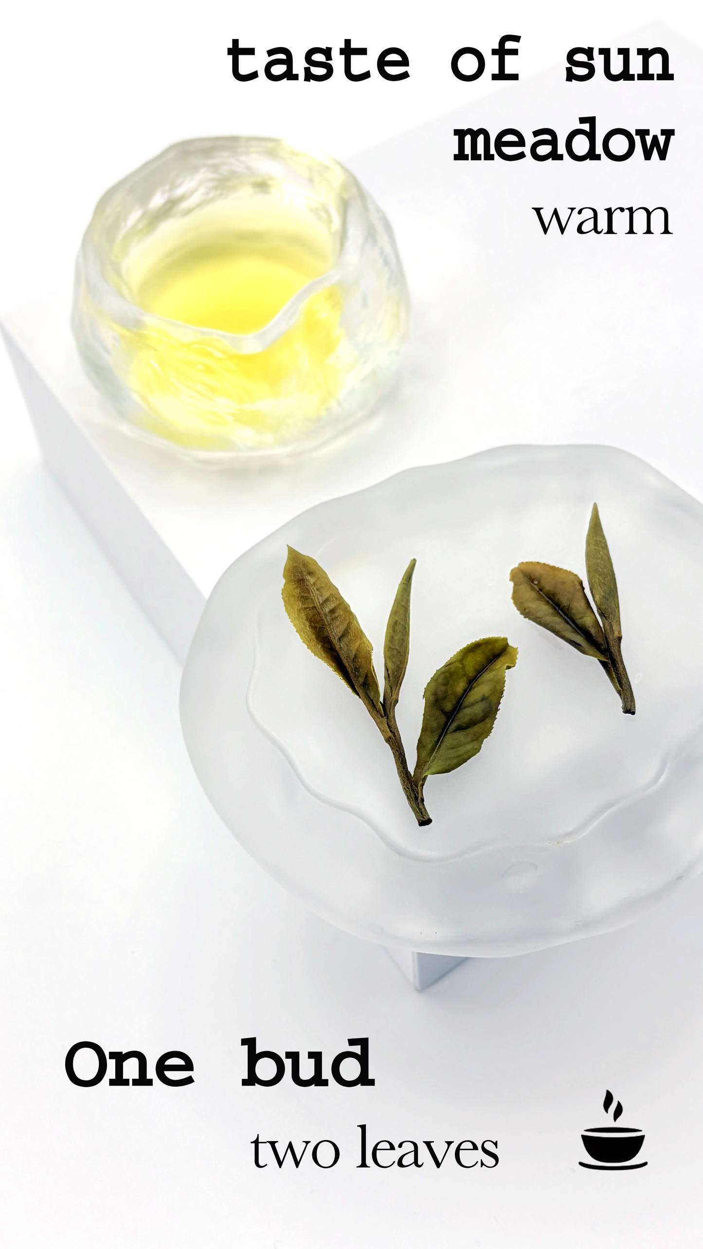 2025 Baimudan White Tea(White Peony)